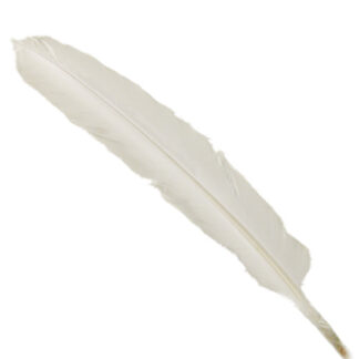 Turkey Wing Feather - White