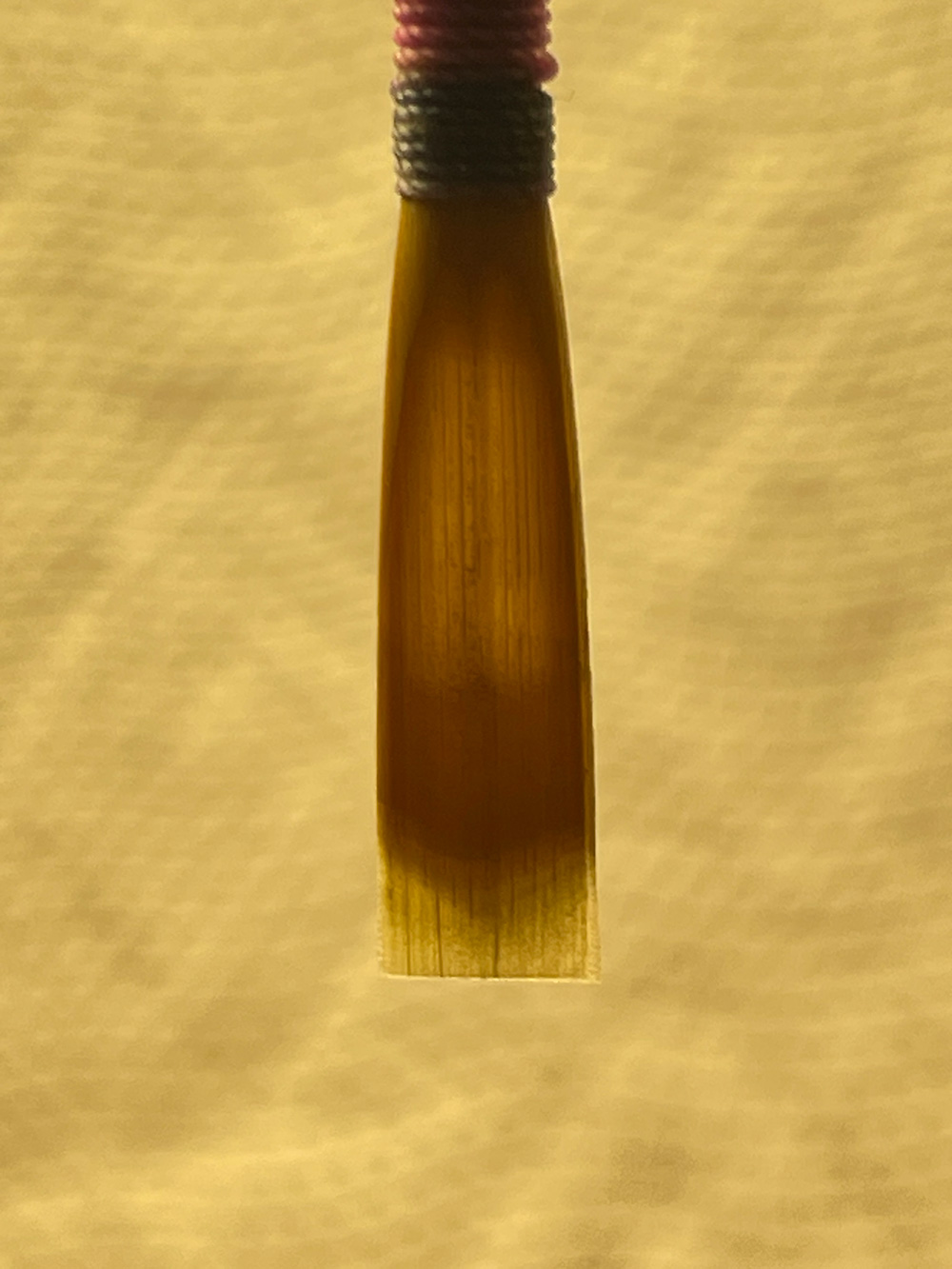 Cadence Oboe Reed - Image 2